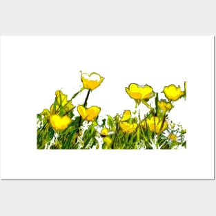 Buttercups Posters and Art